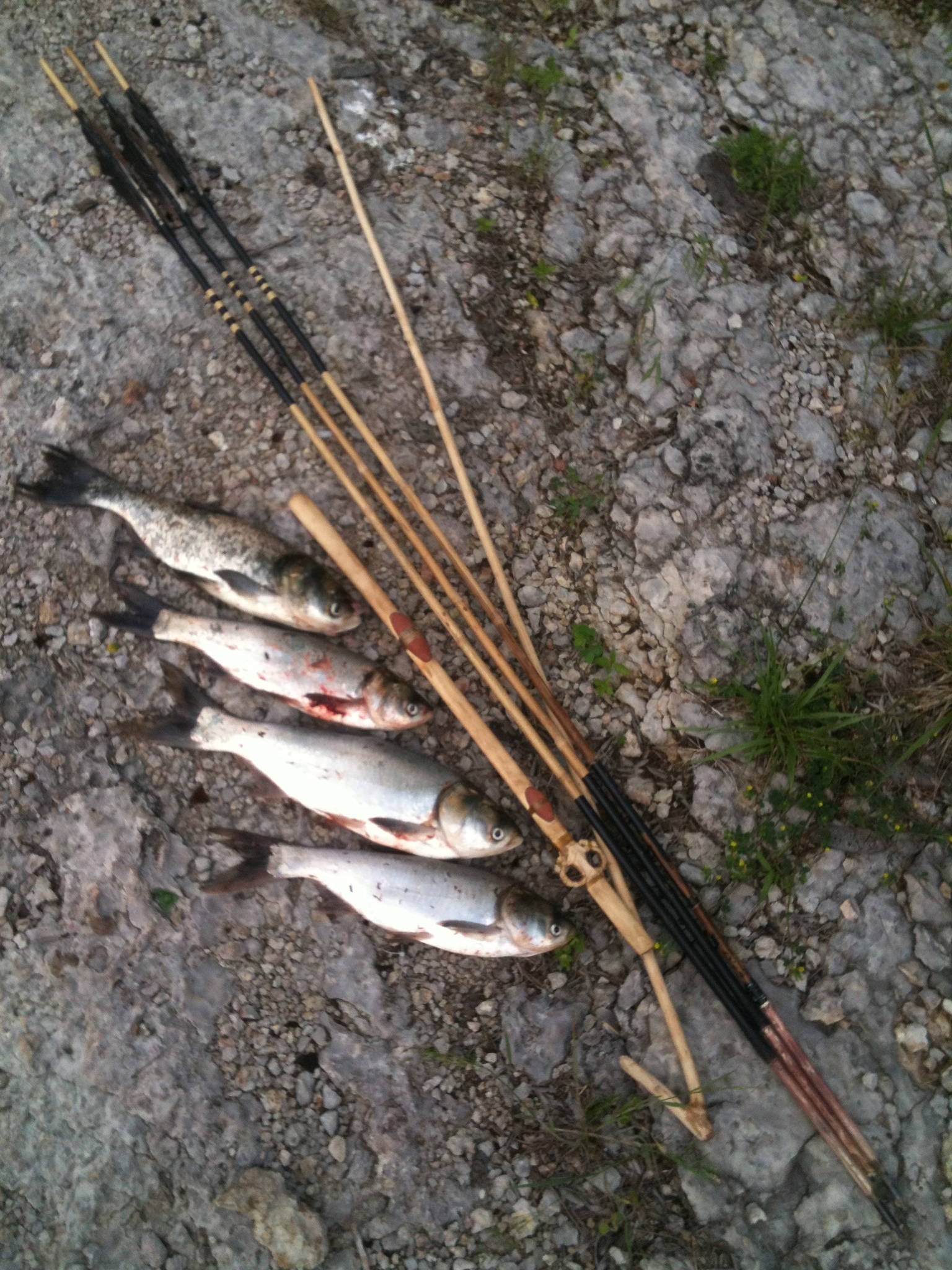 Fishing with Traditional Atlatl equipment